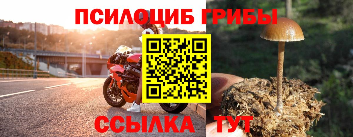 Галлюциногенные грибы мухоморы Электрогорск